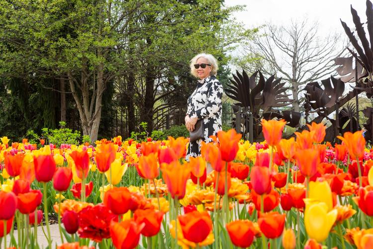 Tulip time at the Cleveland Botanical Garden.